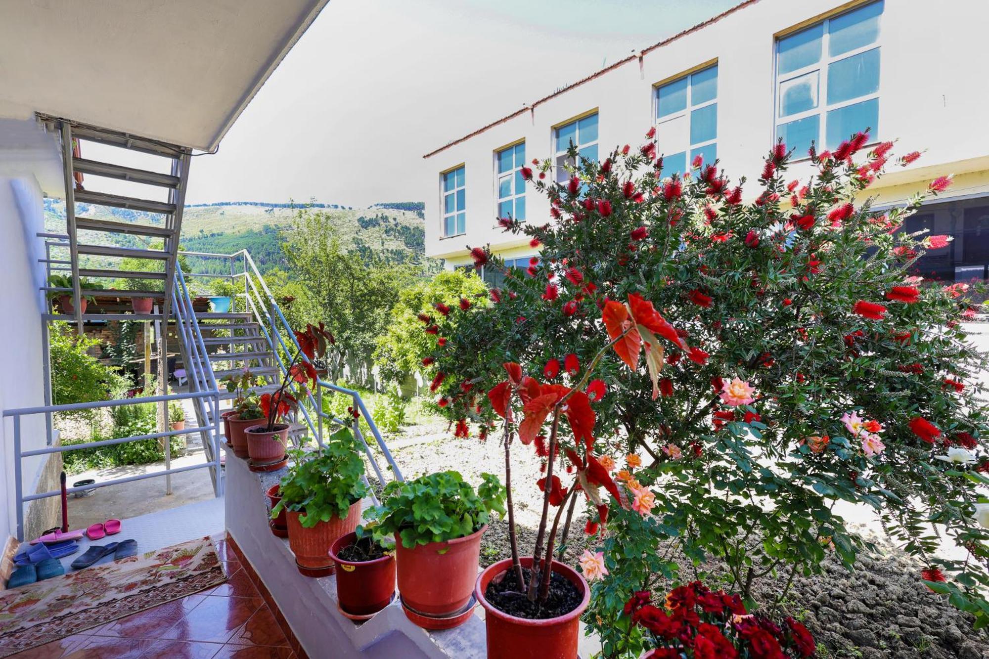 Samuela Cozy Retreat Villa Berat Exterior photo