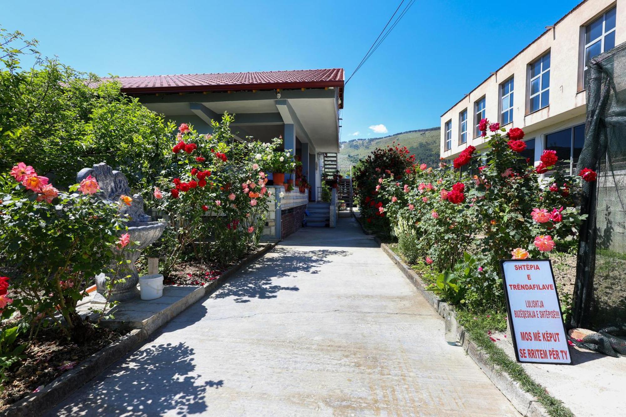 Samuela Cozy Retreat Villa Berat Exterior photo